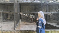 Warga banyak yang melepas lelah di sini di tengah perjalanan mereka. Foto: Ardian Dwi Kurnia/detikJateng