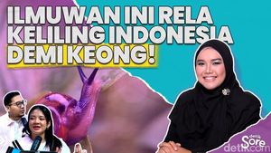 Video: Ayu Savitri, Ilmuwan di Balik Penemuan 23 Spesies Keong Baru Nusantara