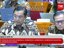Beda Sekolah Nasional Terintegrasi dan Sekolah Reguler, Pengelolaan oleh Direktur