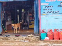 Gas Melon Rp 150 Ribu, Warga Perbatasan di Malinau Pilih Elpiji Malaysia