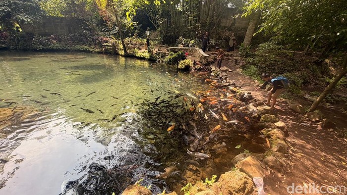Pengunjung saat menikmati wisata di Green Paradise Pagar Alam, Sumatera Selatan.