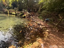 Digitalisasi Bikin Sektor Wisata di Pagar Alam Terang Benderang