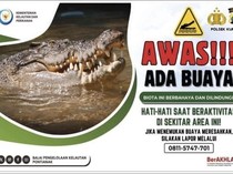 Viral Buaya di Kumai, Hati-hati Saat di Sungai!