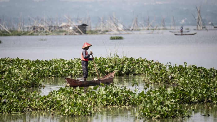 Nelayan mencari ikan di desa wisata Kampung Rawa, Ambarawa, Kabupaten Semarang, Jawa Tengah, Kamis (25/6/2026). Pemerintah Provinsi Jawa Tengah menetapkan pariwisata berbasis desa dan ekonomi kreatif sebagai motor penggerak utama pembangunan daerah pada 2027 dengan menargetkan pengembangan 1.000 desa wisata yang didukung infrastruktur serta sistem informasi digital guna meningkatkan perekonomian daerah. ANTARA FOTO/Aprillio Akbar