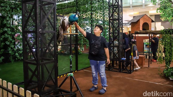 Sejumlah anak menikmati edukasi wisata kebun binatang di dalam Mal Artha Gading, Jakarta Utara, Kamis (25/6/2026). Suasana pusat perbelanjaan yang biasanya identik dengan aktivitas belanja dan hiburan kini berubah menjadi ruang edukasi satwa yang menarik perhatian pengunjung, khususnya anak-anak yang sedang menikmati masa libur sekolah.