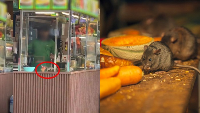 Tikus Muncul di Etalase Makanan, Restoran Ini Langsung Ditutup Sementara