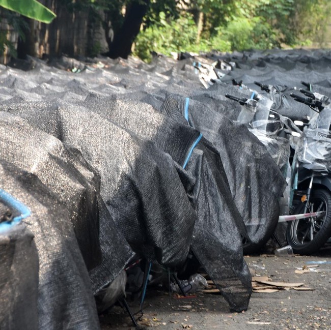 17.600 Motor Listrik BGN Rencana Dihibahkan untuk Guru Honorer