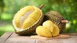 9 Buah Paling Langka di Dunia, Ada Rambutan yang Tumbuh di Indonesia