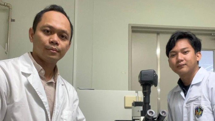 Daun pala yang selama ini kerap dianggap sebagai limbah ternyata menyimpan potensi besar bagi dunia kesehatan. Dokumen Istimewa
