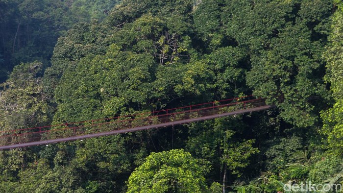 Jembatan Situ Gunung, menjadi salah satu destinasi wisata alam yang menarik di Jawa Barat. Terpanjang se-Asia, tempat ini menawarkan pengalaman seru bagi para pencinta petualangan.
