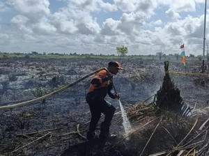 Polisi Kejar Dalang Karhutla di Kotim, 69 Saksi Diperiksa