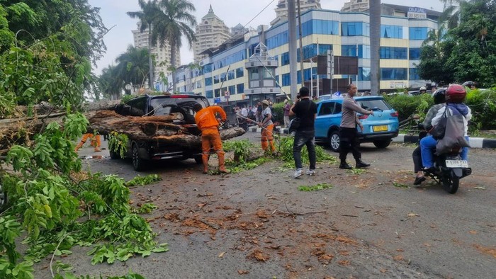 Pohon tumbang menimpa mobil Mercy dan taksi di kawasan Kelapa Gading, Jakarta Utara setelah angin kencang, pada Jumat (26/6/2026) siang tadi.