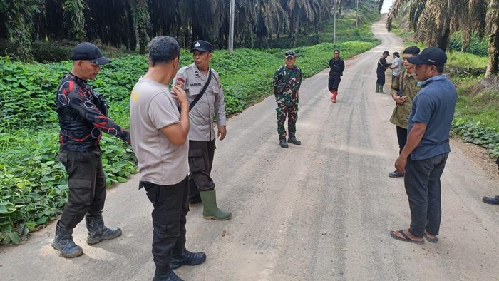 Polisi datangi TKP penabrakan komplotan pencuri sawit di Muratara.
