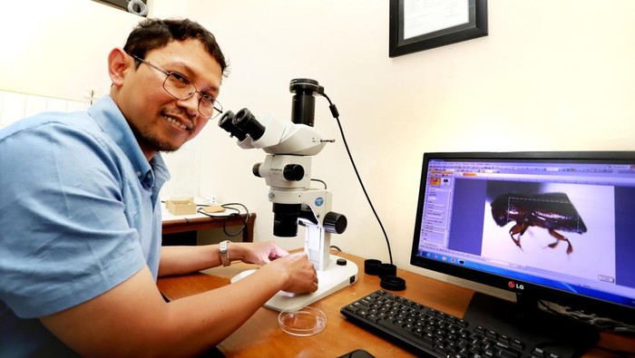 Prof Hagus dan penelitia lain temukan spesies kumbang baru