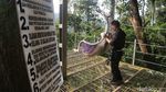 Sensasi Naik Keranjang Langit Situ Gunung, Berasa Uji Nyali