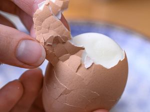 Metode 10-5-10 Bikin Kulit Telur Rebus Gampang Dikupas, Begini Caranya!