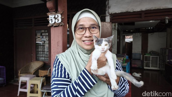 Animal communicator di Semarang Barat, Asih Hardianti, dengan kucing peliharaannya.