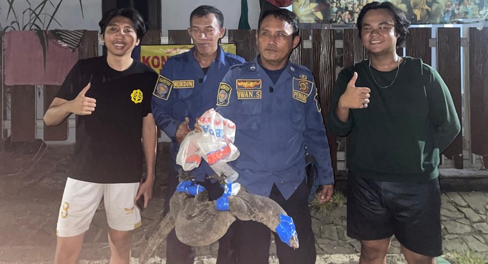 Damkar turun tangan evakuasi biawak di rumah warga di Bogor.
