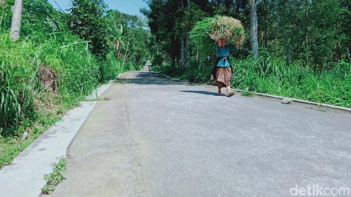 Susana Desa Tegalmulyo, Kecamatan Kemalang, Klaten beberapa waktu lalu. Foto diunggah Sabtu (27/6/2026).