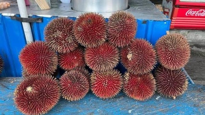 Ini Lahung, Durian Merah Khas Katingan Hulu yang Diburu Warga. (Istimewa)