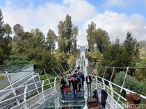 Pre-launching Jembatan Kaca Bromo, Segini Harga Tiketnya