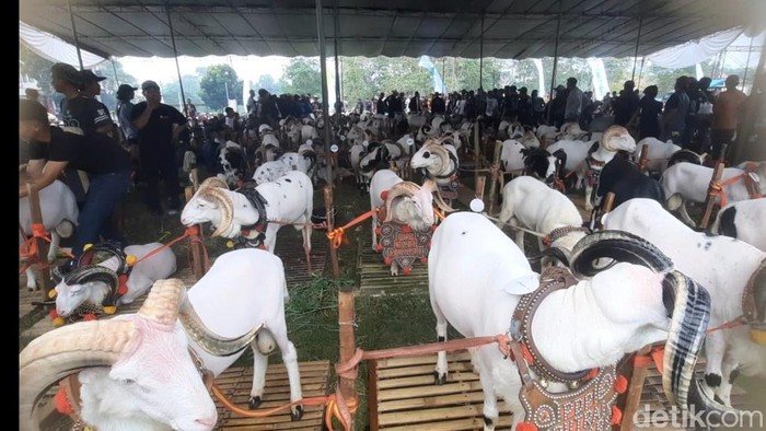 Pesta Patok Tasikmalaya.