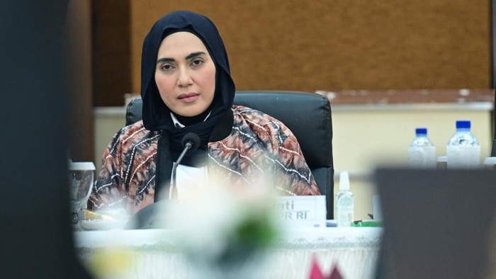 Wakil Ketua DPR RI, Sari Yuliati (dok. ist)
