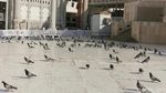 Menyusuri Jejak Rumah Khadijah di Masjidil Haram