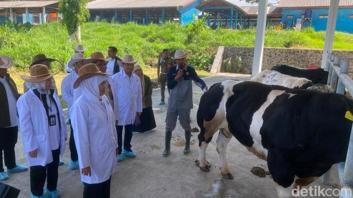 Gubernur Jawa Timur Khofifah Indar Parawansa saat betada di Balai Besar Inseminasi Buatan (BBIB) Singosari, Kabupaten Malang