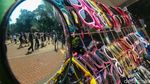 Hari Terakhir Masuk Gratis, Ragunan Diserbu Pengunjung