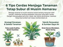 Infografis: 6 Cara Biar Tanaman Bisa Tumbuh Subur Saat Air Lagi Sulit