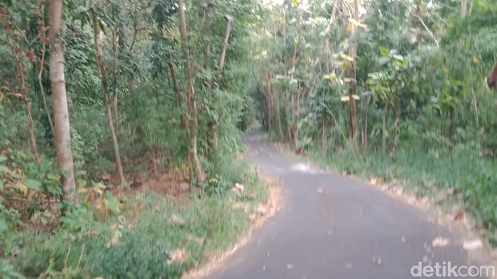 Penampakan kampung di Nglepen, Sumberharjo, Prambanan, Sleman, yang kosong usai penduduknya direlokasi buntut gempa 2006, Minggu (28/6/2026).