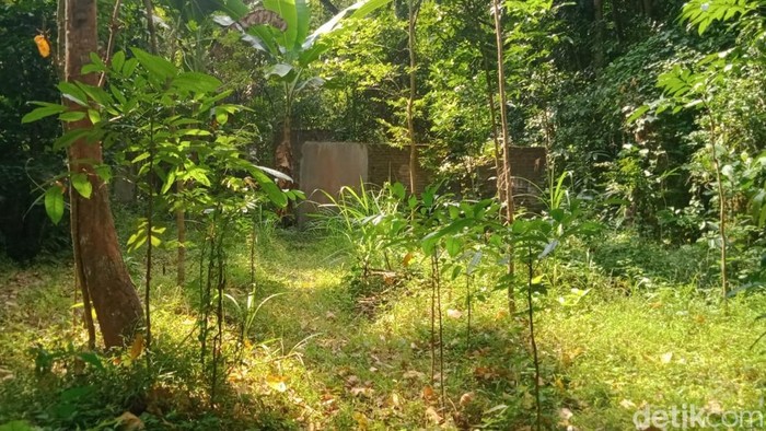 Kampung Jogja Penampakan kampung di Nglepen, Sumberharjo, Prambanan, Sleman, yang kosong usai penduduknya direlokasi buntut gempa 2006, Minggu (28/6/2026).