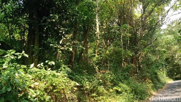 Penampakan kampung di Nglepen, Sumberharjo, Prambanan, Sleman, yang kosong usai penduduknya direlokasi buntut gempa 2006, Minggu (28/6/2026).