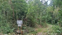 Konten Kreator Serbu Kampung Mati Sleman, Warga Risau