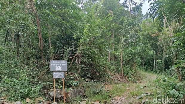 Penampakan kampung mati di Sumberharjo, Prambanan, Sleman yang ditinggal penghuninya imbas gempa 2006.