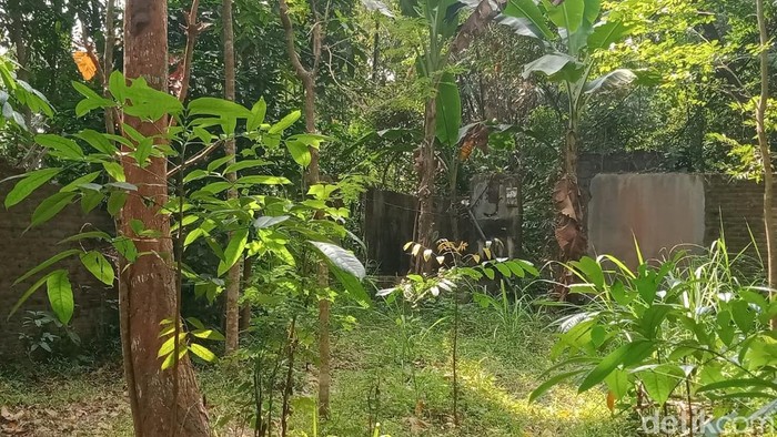 Penampakan kampung mati di Sumberharjo, Prambanan, Sleman yang ditinggal penghuninya imbas gempa 2006.