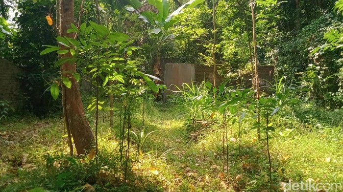 Penampakan kampung mati di Sumberharjo, Prambanan, Sleman yang ditinggal penghuninya imbas gempa 2006.