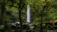 Curug Sawer, Destinasi Healing Air Terjun 35 Meter di Kaki Gunung Gede Pangrango