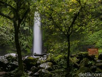 Curug Sawer, Destinasi Healing Air Terjun 35 Meter di Kaki Gunung Gede Pangrango