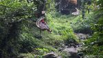 Pesona Situ Gunung, Curug Sawer hingga Keranjang Sultan Memikat Wisatawan