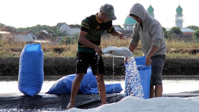 Petani memanen garam di tambak kawasan Panggungrejo, Pasuruan, Jawa Timur, Minggu (28/6/2026). Kemenko Bidang Pangan mendorong petambak garam rakyat untuk terlibat aktif dalam menyukseskan agenda swasembada garam nasional 2027 melalui perbaikan manajemen lahan agar produktivitas serta kualitas garam meningkat dan meminta pemerintah daerah berkolaborasi dengan petambak guna mencegah alih fungsi lahan garam rakyat. ANTARA FOTO/Umarul Faruq/sgd
