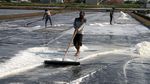 Produktivitas Tambak Garam Pasuruan Terus Digenjot