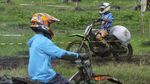 Serunya Balap Manol Gabah, Adu Cepat Buruh Angkut Hasil Panen di Banyuwangi