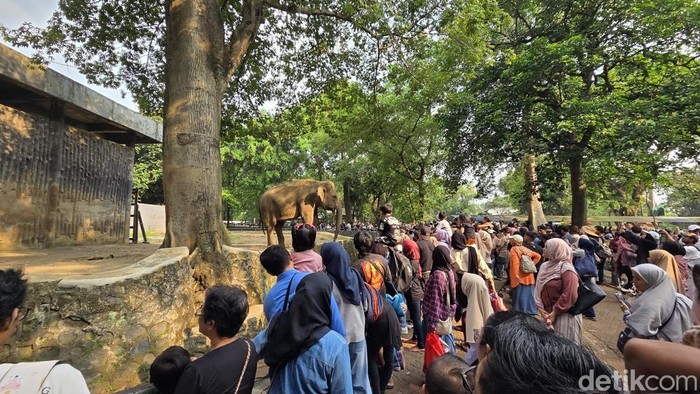 Suasana Ragunan di hari terakhir masuk gratis. (Taufiq/detikcom)
