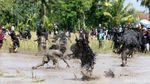 Tradisi Kebo-keboan di Banyuwangi