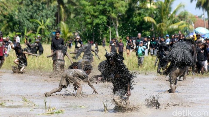 Tradisi Kebo-keboan di Banyuwangi