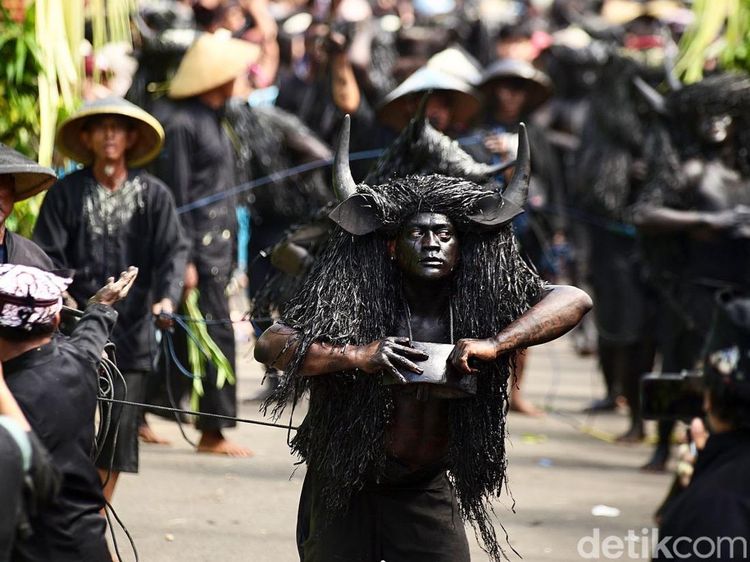 Tradisi Kebo-keboan di Banyuwangi