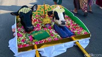 Sebelum prosesi larung sesaji, dilakukan kirab budaya yang berlangsung meriah. Arak-arakan diawali dengan penampilan drum band, diikuti berbagai peserta kirab, serta iring-iringan membawa kepala sapi yang akan dilarung ke laut.