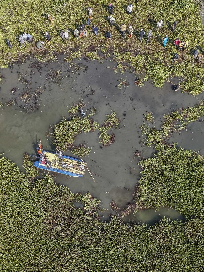 Aksi Bersih Eceng Gondok Jaga Kelestarian Sungai Citarum